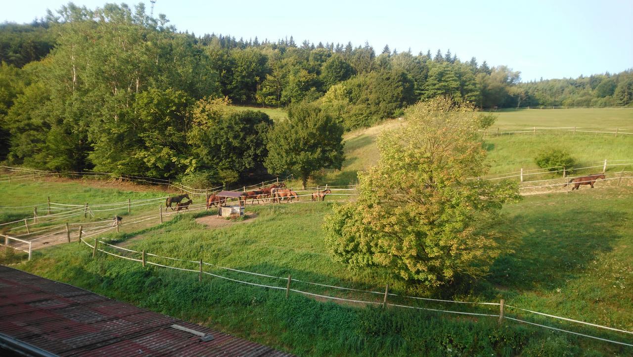Ferienwohnung Zrebcin Mlyncok Slovenska Lupca Exterior foto